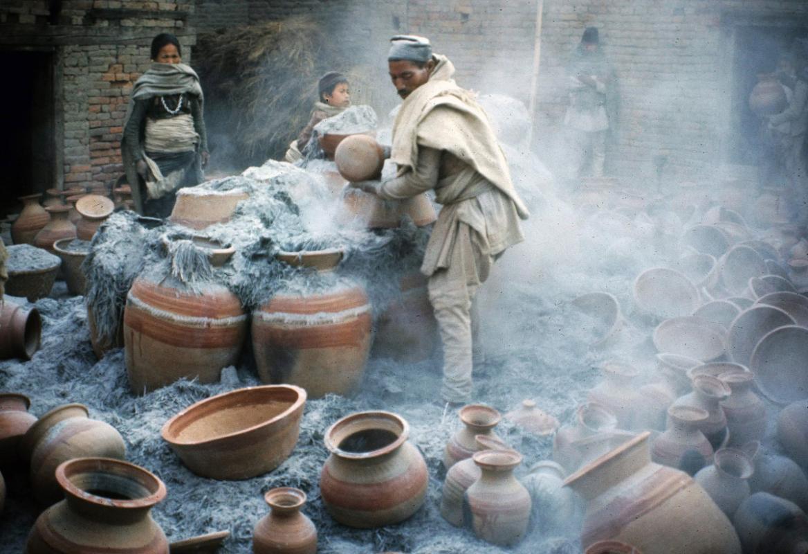 Fresh ingredients prepared for drying